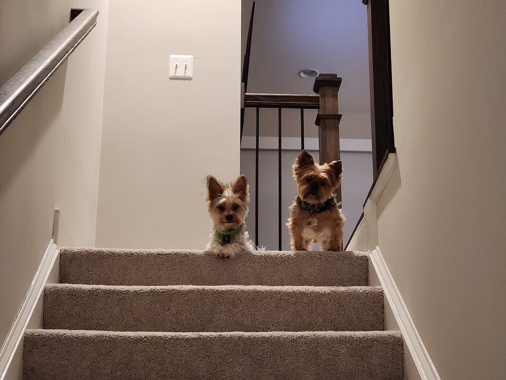 Henry & Wesley Kamichoff: images/20230211_223246-sm.jpg